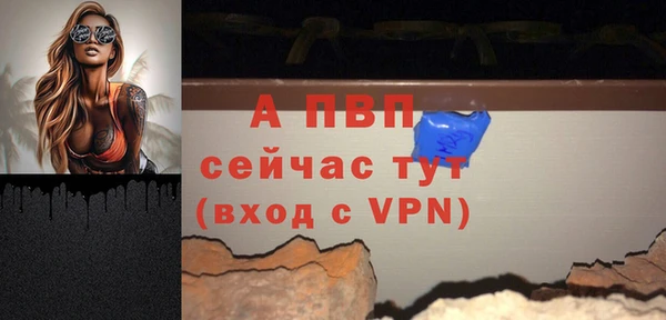 сатива Алагир
