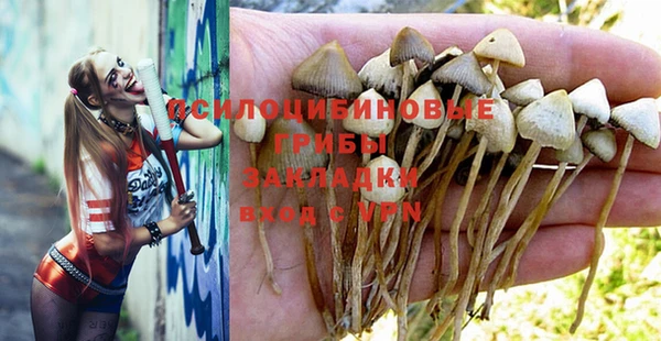 винт Михайлов