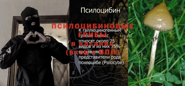 винт Михайлов