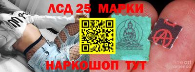 a pvp Братск