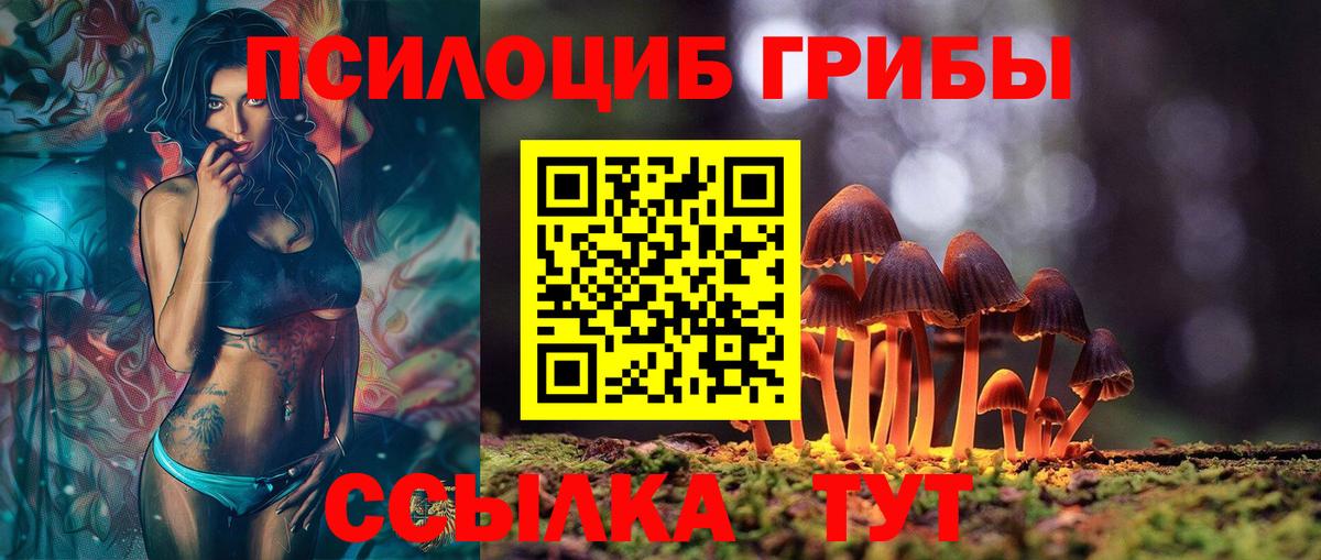 Галлюциногенные грибы Magic Shrooms Бийск
